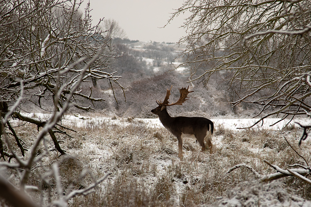 Verder hoefde ik niet Verder hoefde ik niet